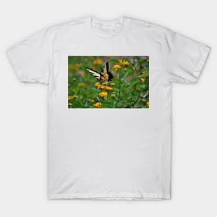 Swallowtail On Lantana T-Shirt